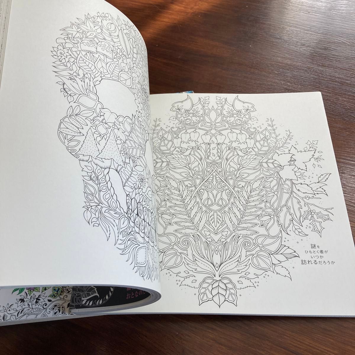 ジョハンナ　バスフォード　大人の塗り絵　ひみつの花園　ねむれる森　2冊セット　新品