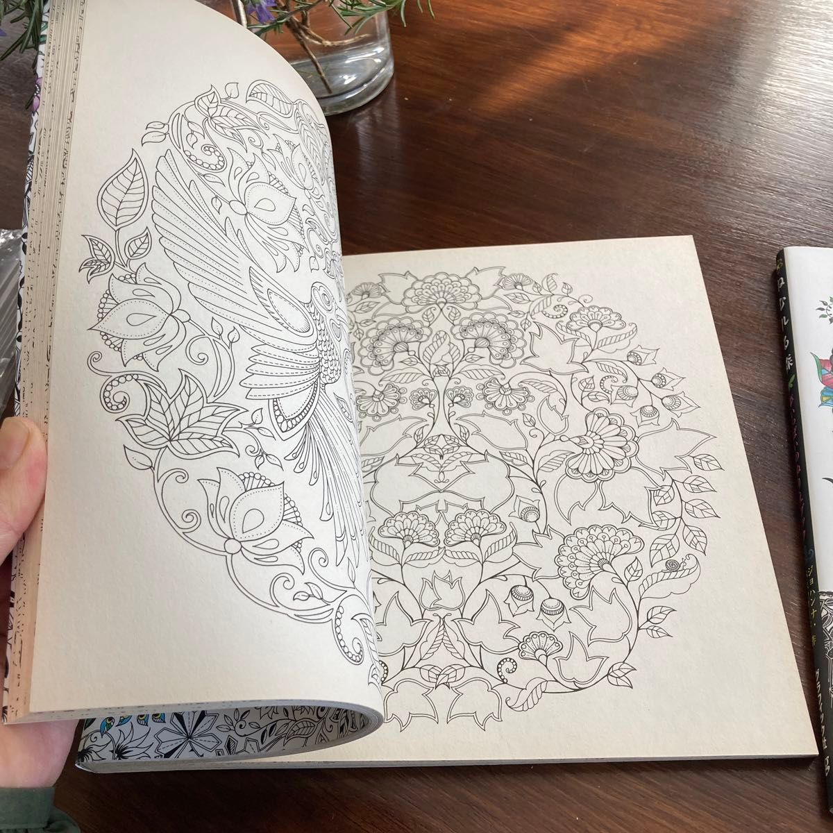 ジョハンナ　バスフォード　大人の塗り絵　ひみつの花園　ねむれる森　2冊セット　新品