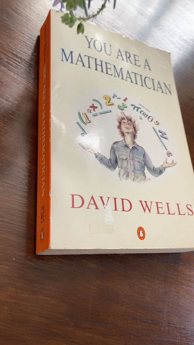 You're a mathematician David Wells 数学者　洋書