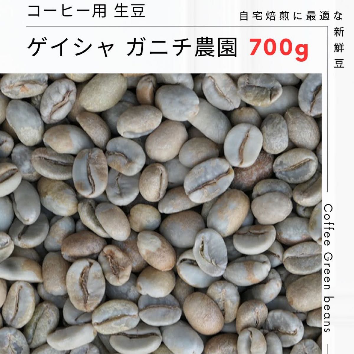 コーヒー 焙煎用 生豆 700g ゲイシャ ガニティ農園 完熟コーヒー豆