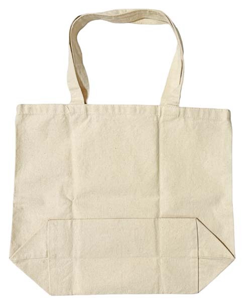 訳有 パタゴニア キャンバス バッグ PATAGONIA CANVAS BAG TOTE 鳥 クライミング ギア カラビナ ピトン ピッケル ショップ エコ トート_画像3