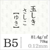 玉しき さしこ 「ゆき」 81.4g/平米 0.12mm B5サイズ：2000枚 印刷紙 印刷用紙 松本洋紙店_画像5