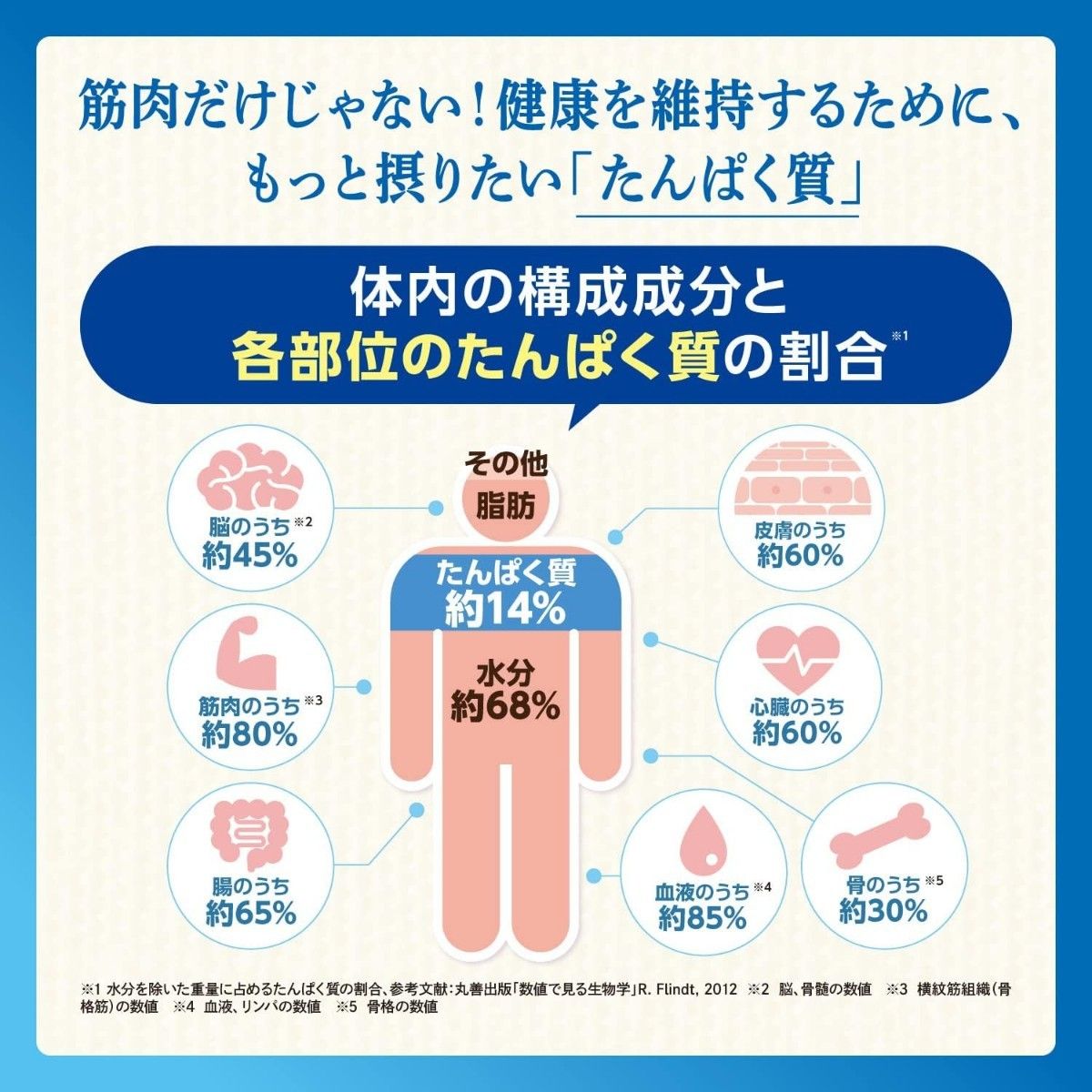 大人のためのプロテイン タンパク生活 180g × 3個