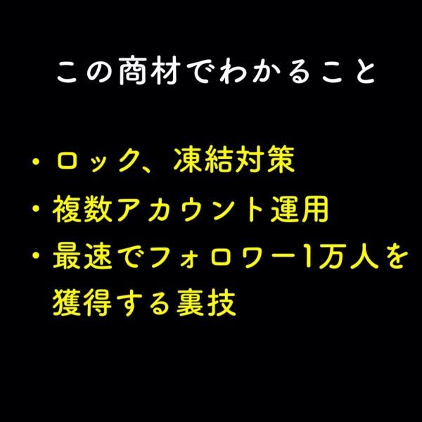 【2024年最新版】マジでココナラで毎月安定した収入を得る！X(Twitter)拡散ビジネスで稼ぐ方法。ロック、凍結対策ずみ /副業_画像2