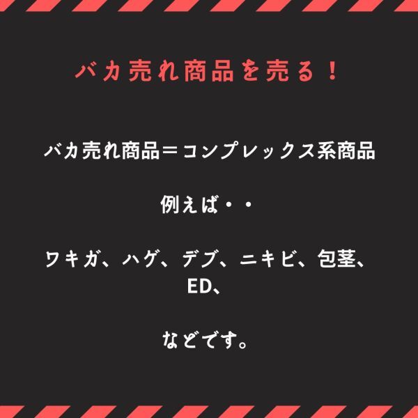 【2024年仕様】顔出し不要でTikTokでZ世代を狙い撃ち！ある”バカ売れジャンル”を狙った最強アフィリエイト戦略 /副業,SNS,在宅ワーク_画像4