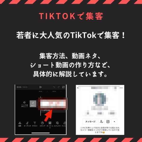 【2024年仕様】顔出し不要でTikTokでZ世代を狙い撃ち！ある”バカ売れジャンル”を狙った最強アフィリエイト戦略 /副業,SNS,在宅ワーク_画像2