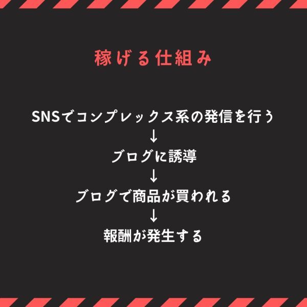 【2024年仕様】顔出し不要でTikTokでZ世代を狙い撃ち！ある”バカ売れジャンル”を狙った最強アフィリエイト戦略 /副業,SNS,在宅ワーク_画像5