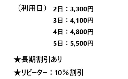 ◆レンタル◆4/9到着-4/23ご返却発送◆Canon EOS R6ボディ単体+RF100-400mmレンズの画像4