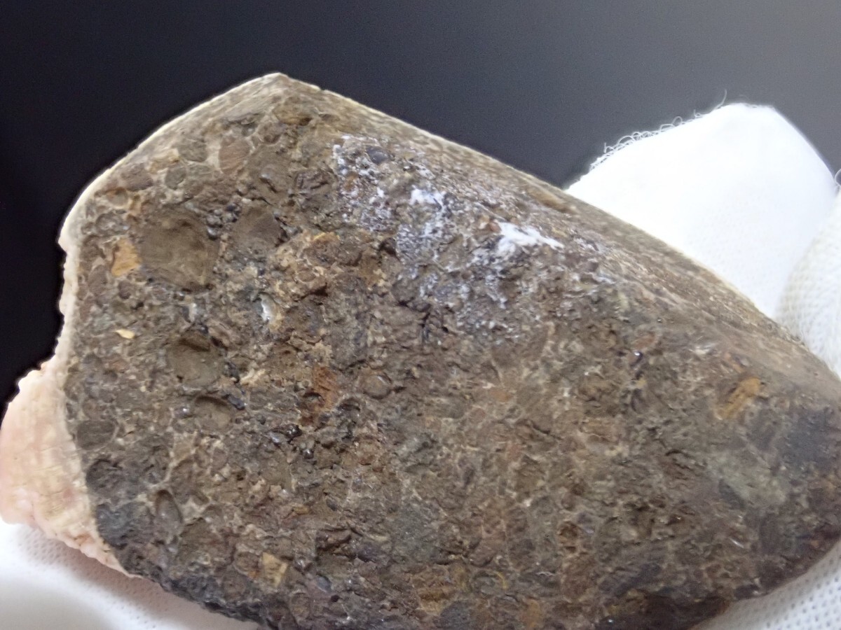 【大きな貝化石に結晶】ロードクロサイトonシェルフォッシル 菱マンガン鉱on 貝化石 原石 標本の画像5