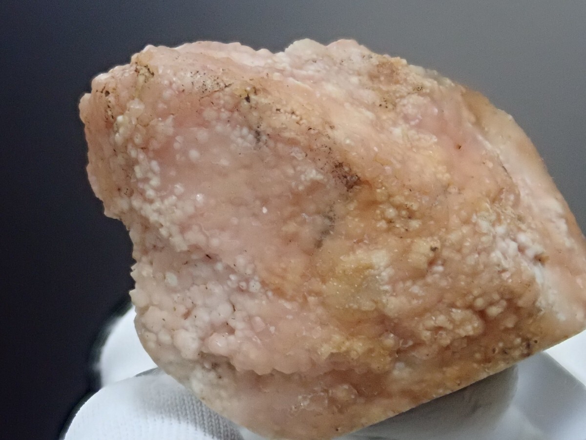 【大きな貝化石に結晶】ロードクロサイトonシェルフォッシル 菱マンガン鉱on 貝化石 原石 標本の画像1