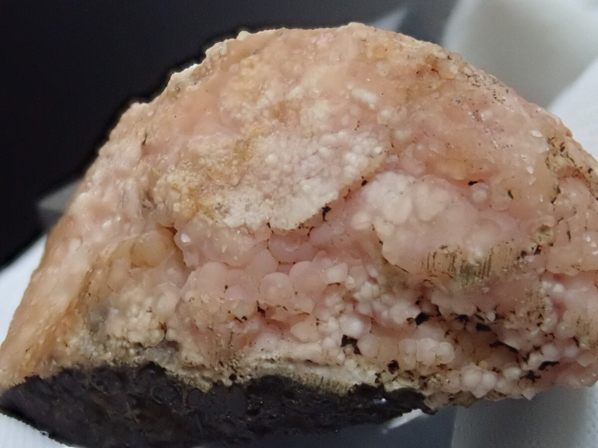 【大きな貝化石に結晶】ロードクロサイトonシェルフォッシル 菱マンガン鉱on 貝化石 原石 標本の画像2
