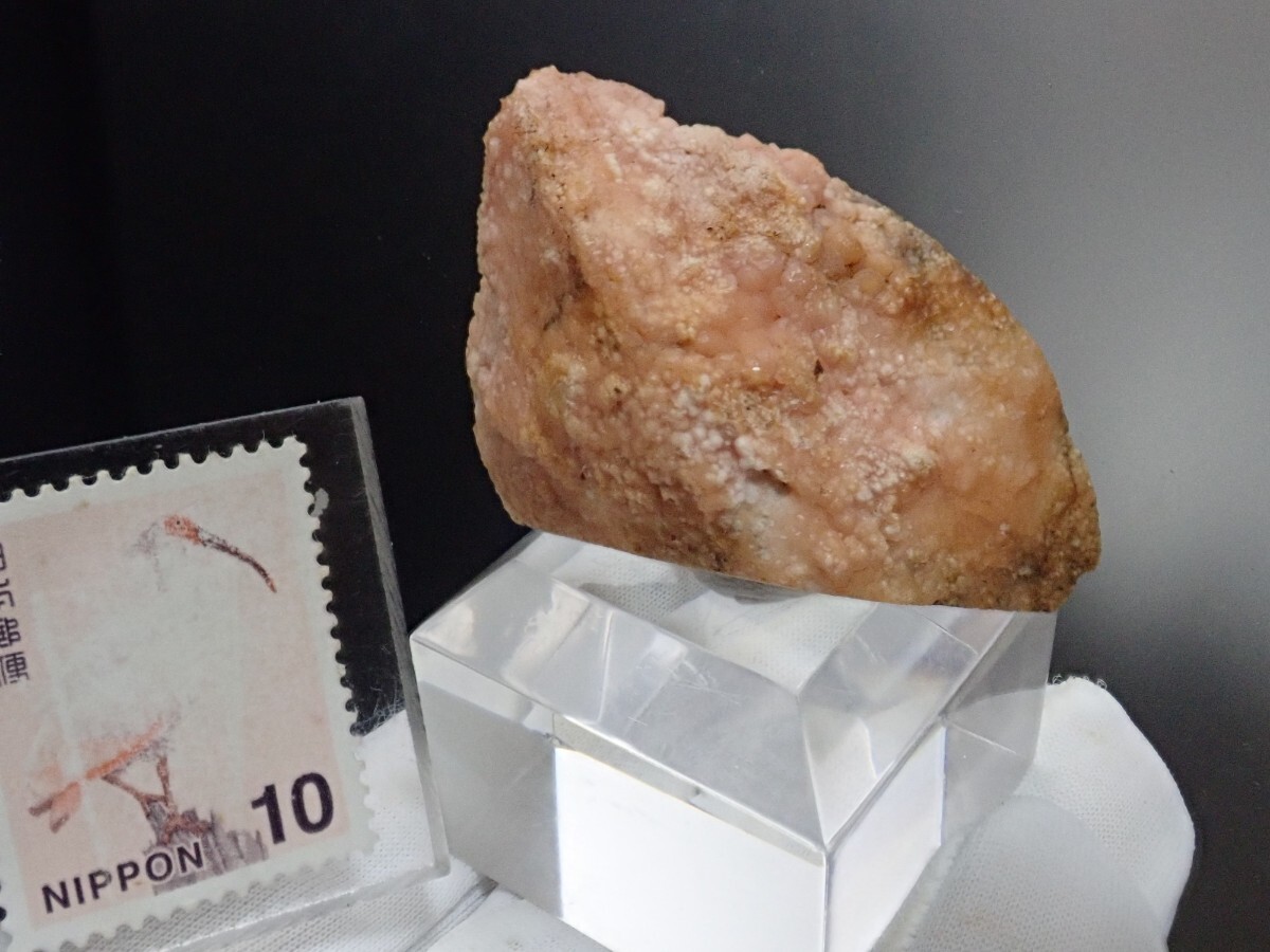 【大きな貝化石に結晶】ロードクロサイトonシェルフォッシル 菱マンガン鉱on 貝化石 原石 標本の画像7