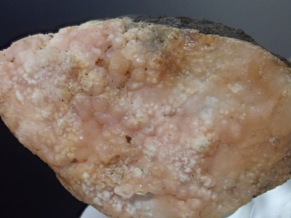 【大きな貝化石に結晶】ロードクロサイトonシェルフォッシル 菱マンガン鉱on 貝化石 原石 標本の画像3