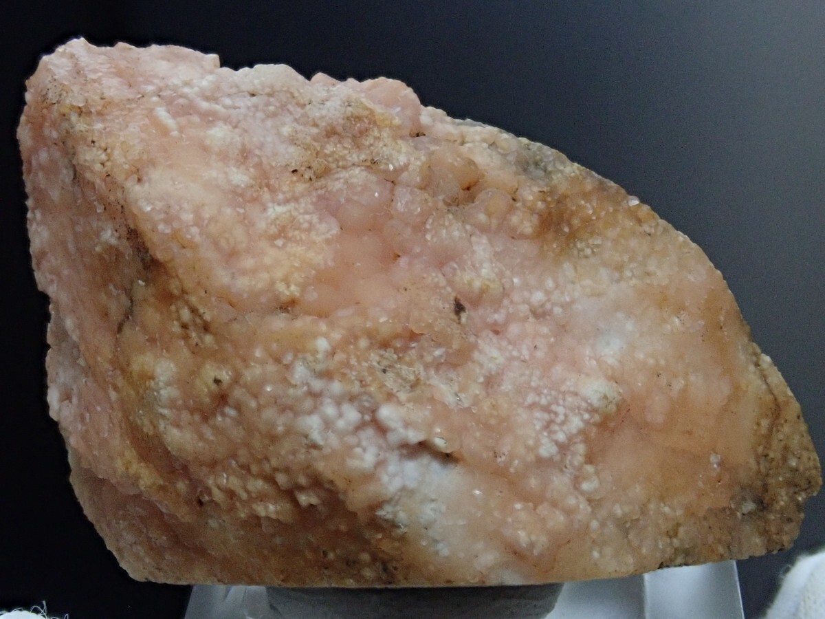 【大きな貝化石に結晶】ロードクロサイトonシェルフォッシル 菱マンガン鉱on 貝化石 原石 標本の画像4