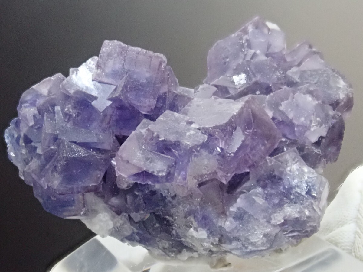 【青紫色】フローライト 蛍石 原石 標本の画像5