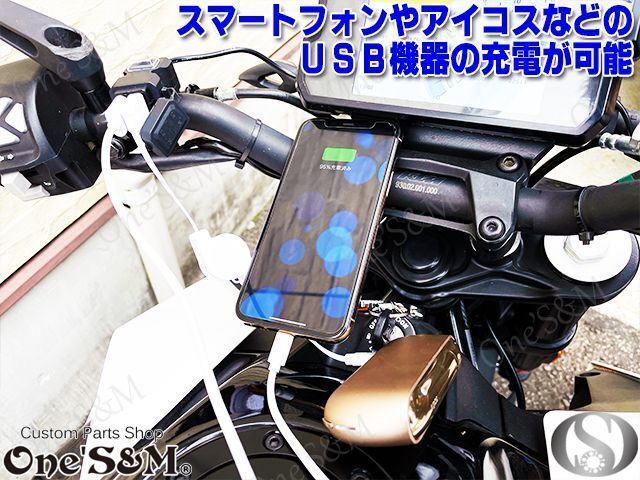 F19-2 USB 電源 キット Wチャージャー ディオSR ライブディオZX AF34 AF35 スマートディオ/Z4 ディオ5 ズーマー/X ディオ110 リード110汎用の画像8