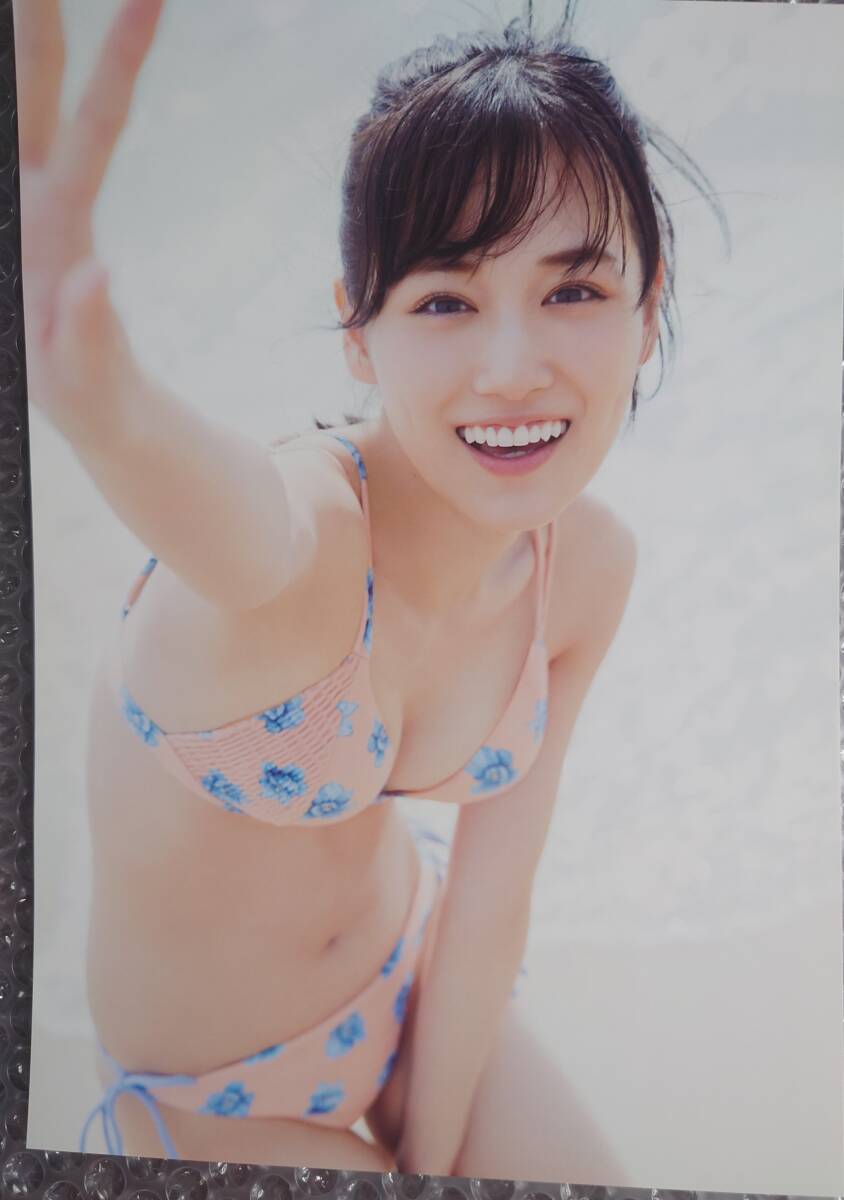  Nogizaka 46 mountain under beautiful month 2nd photoalbum [ heroine ]... shop bookstore limitation cover version application ticket less postcard attached 