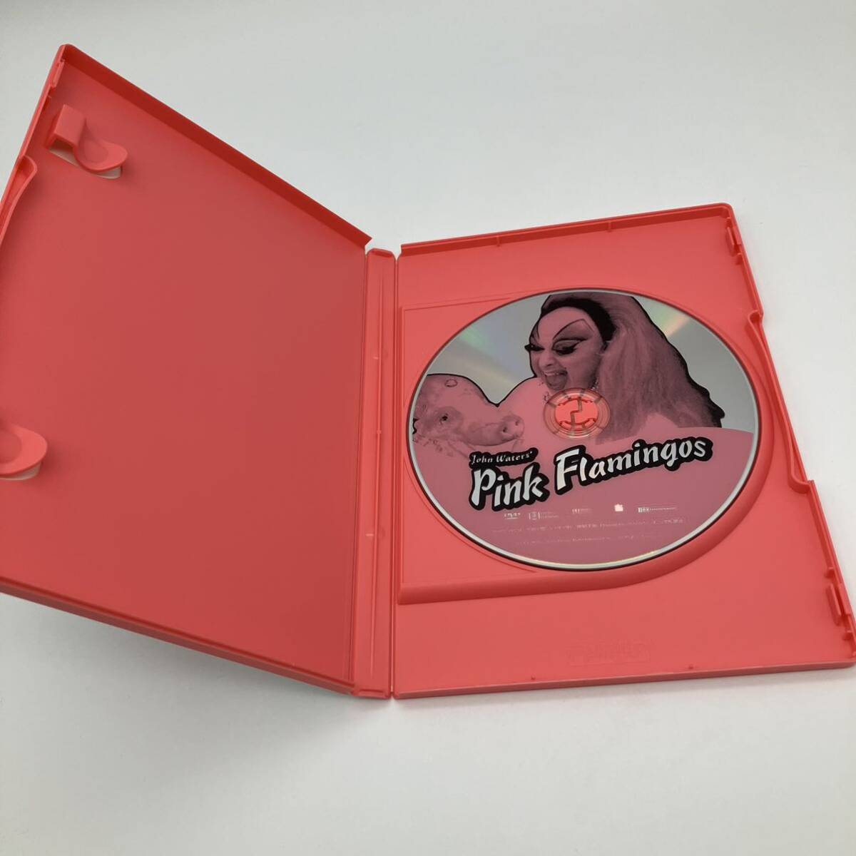 ピンク・フラミンゴ ノーカット特別版 セル版 DVD BOX 帯付 ポスター ポストカード付 希少 映画 洋画の画像8