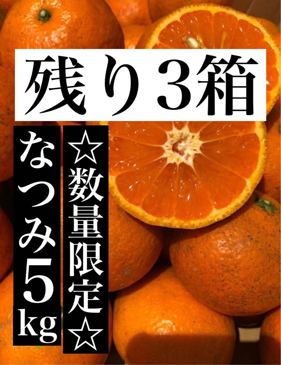 箱込5kg 家庭用 なつみ 愛媛県産 みかん 果物 ミカン 柑橘き