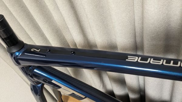 TREK Domane AL 2 Disc Gen 3 (2022?) 52サイズ フレームセットの画像3