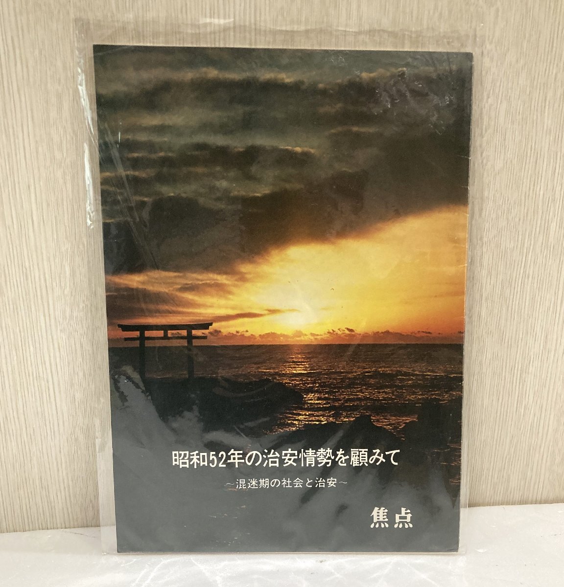 【76】1円～ おまとめ 希少 漢魏六朝篇 清朝史通論 あほうどり 日本の音楽祭 古本 ダメージ 虫食い有り 現状品 価値の分かる方必見_画像4