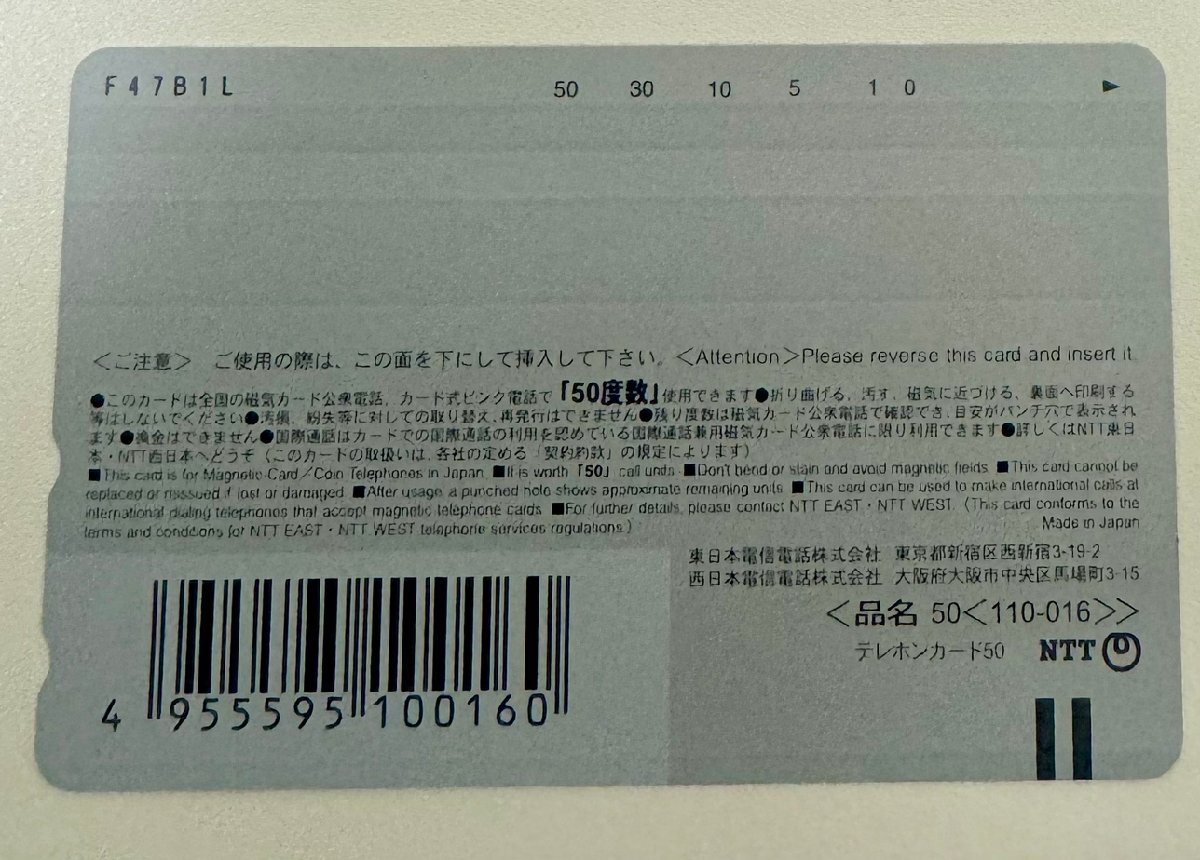 【76】【テレカ未使用50度数】Ten Colors 電撃萌王 2009年10月号 テレホンカード コレクター放出品の画像2