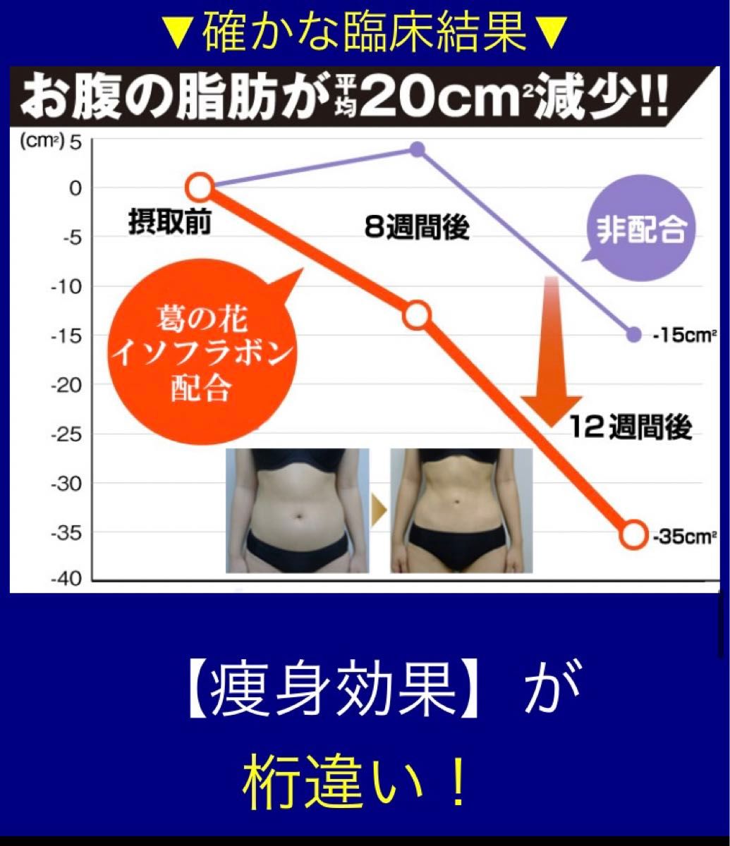 SNSで話題！燃焼系 ダイエットサプリ スリマーロジック  約2ヶ月分 60粒