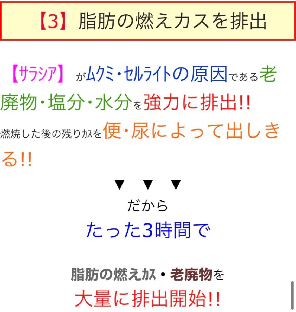 SNSで話題！燃焼系 ダイエットサプリ スリマーロジック  約4ヶ月 120粒