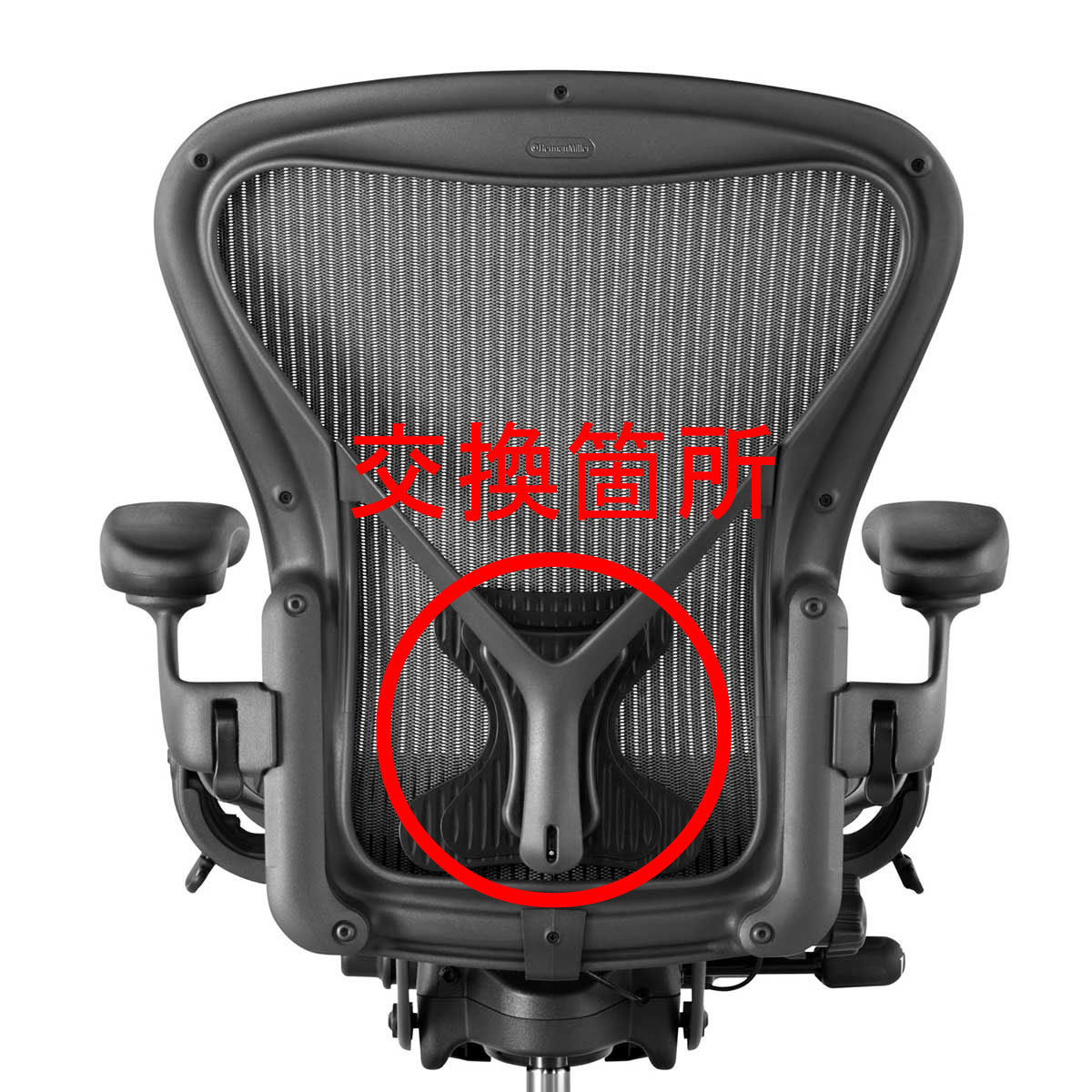 アーロンチェア ポスチャーフィット クッション 互換品 ハーマンミラー チェア Aタイプ Bタイプ Cタイプ Aeron Chair 椅子 イス 交換 部品の画像5
