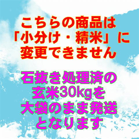 玄米 30kg 令和５年産 会津 特別栽培 コシヒカリ 大袋（精米・小分け不可）東北関西 送料無料 調製玄米の画像2