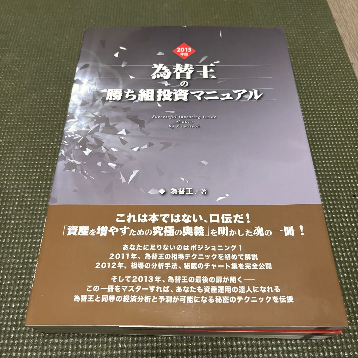 勝ち組投資マニュアル/為替王/2011-2015年版 5冊セット 為替王 勝ち組投資マニュアル 2011年版〜2015年版 5冊セット