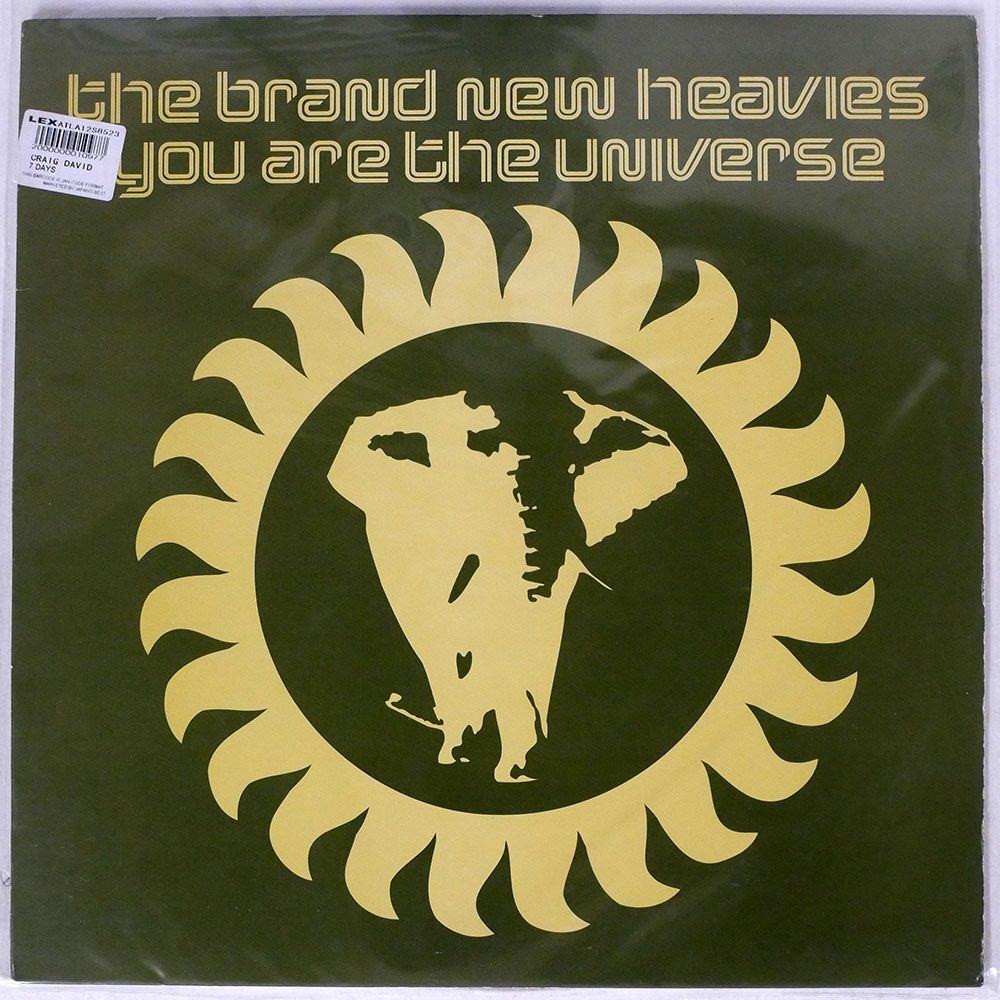 米 BRAND NEW HEAVIES/YOU ARE THE UNIVERSE/HANDCUTS RECORDS BAD004 12の画像1