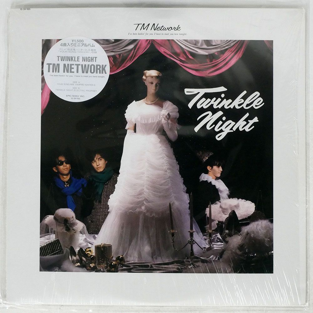 TM Network/Twinkle Night/Epic 153H185 LP