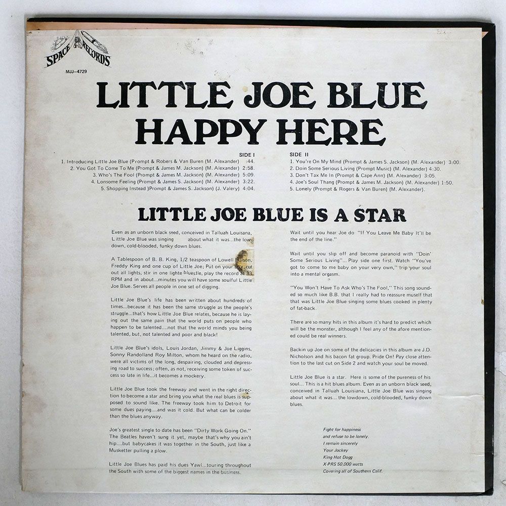 LITTLE JOE BLUE/HAPPY HERE - "EARTHY BLUES"/SPACE MJJ4729 LPの画像2