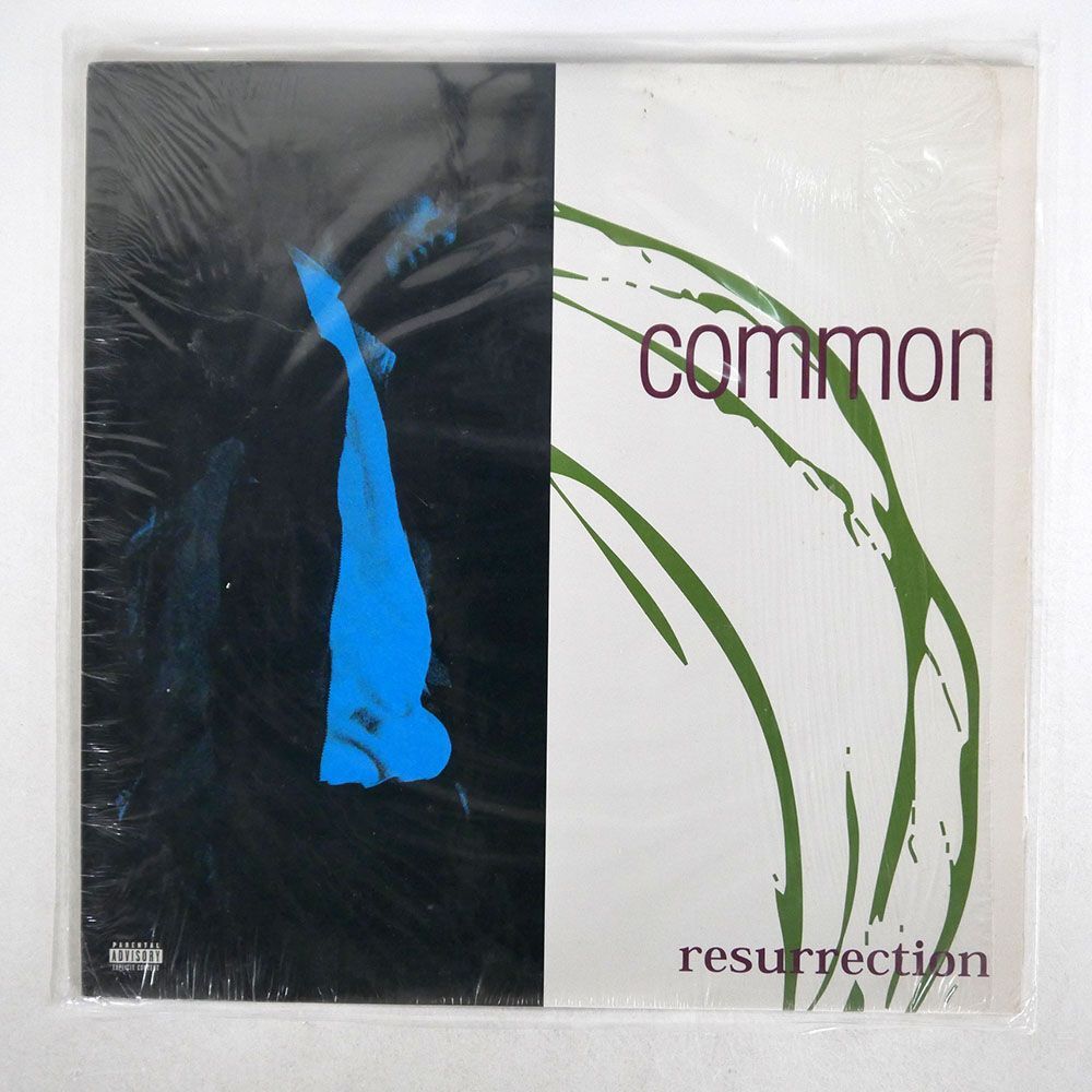 COMMON/RESURRECTION/LOUD 8856112081 LPの画像1