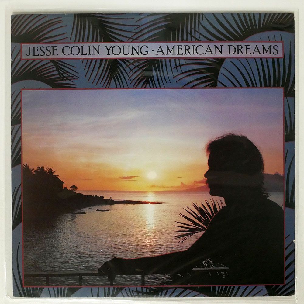 米 JESSE COLIN YOUNG/AMERICAN DREAMS/ELEKTRA 6E157 LPの画像1