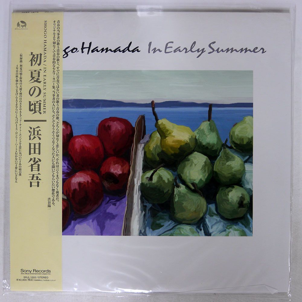 帯付き 浜田省吾/初夏の頃 IN EARLY SUMMER/CBSSONY SRJL1002 LPの画像1