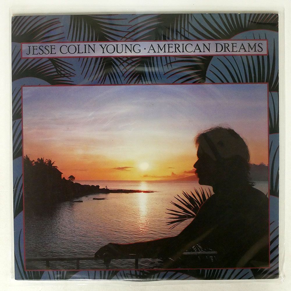 米 JESSE COLIN YOUNG:/AMERICAN DREAMS/ELEKTRA ? 6E157 LPの画像1
