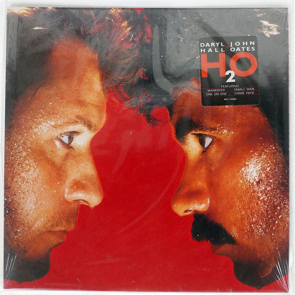 米 DARYL HALL & JOHN OATES/H2O/RCA AFL14383 LPの画像1