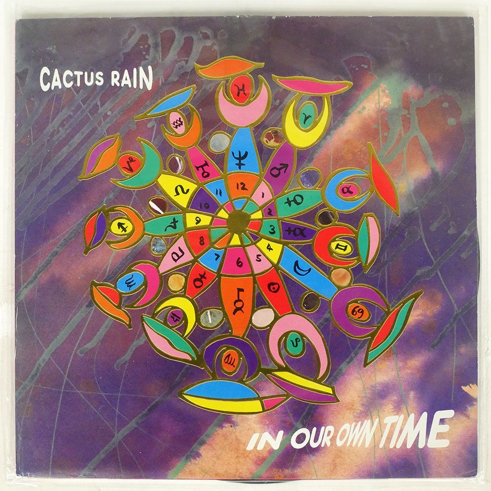 英 CACTUS RAIN/IN OUR OWN TIME/10 RECORDS DIX96 LPの画像1