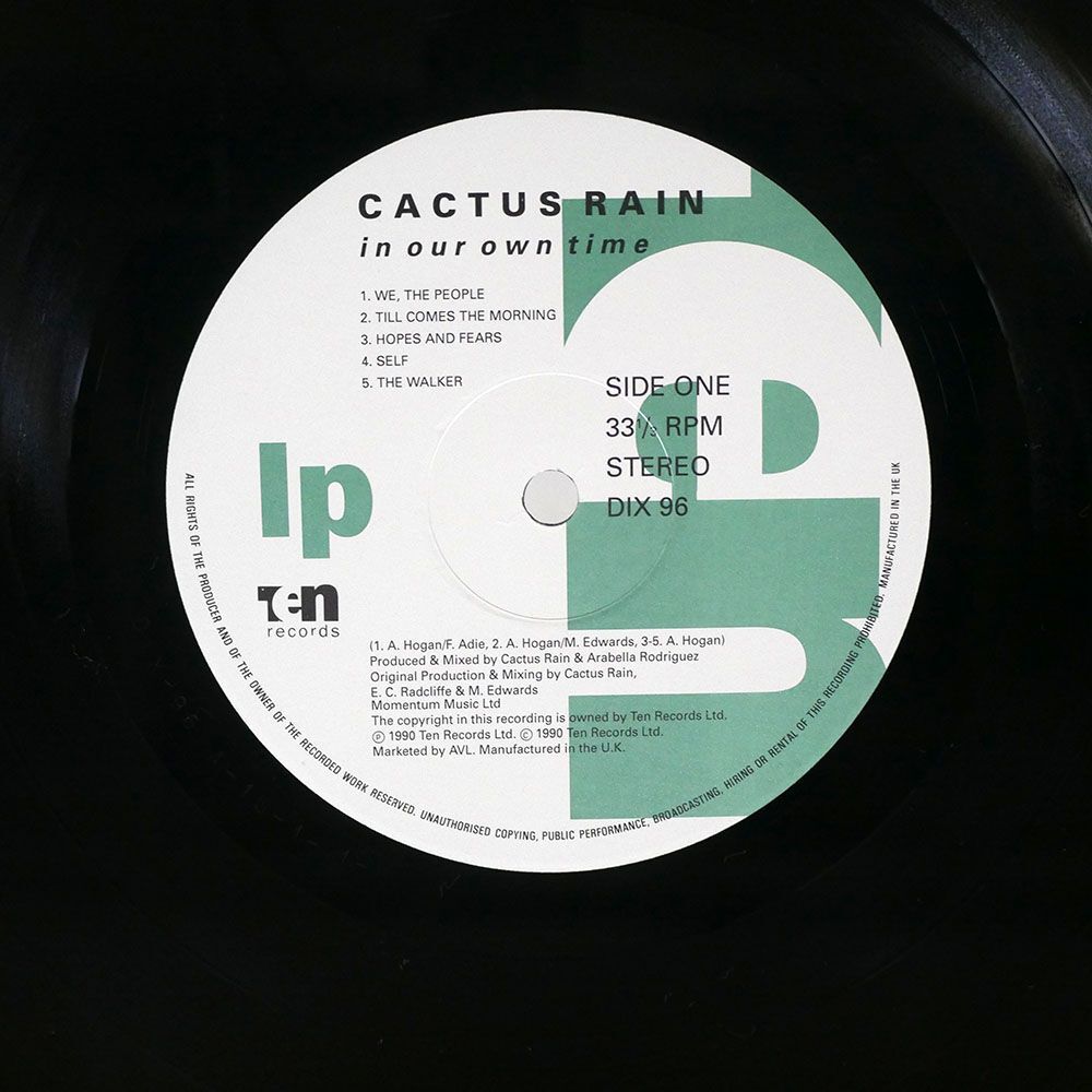 英 CACTUS RAIN/IN OUR OWN TIME/10 RECORDS DIX96 LPの画像2