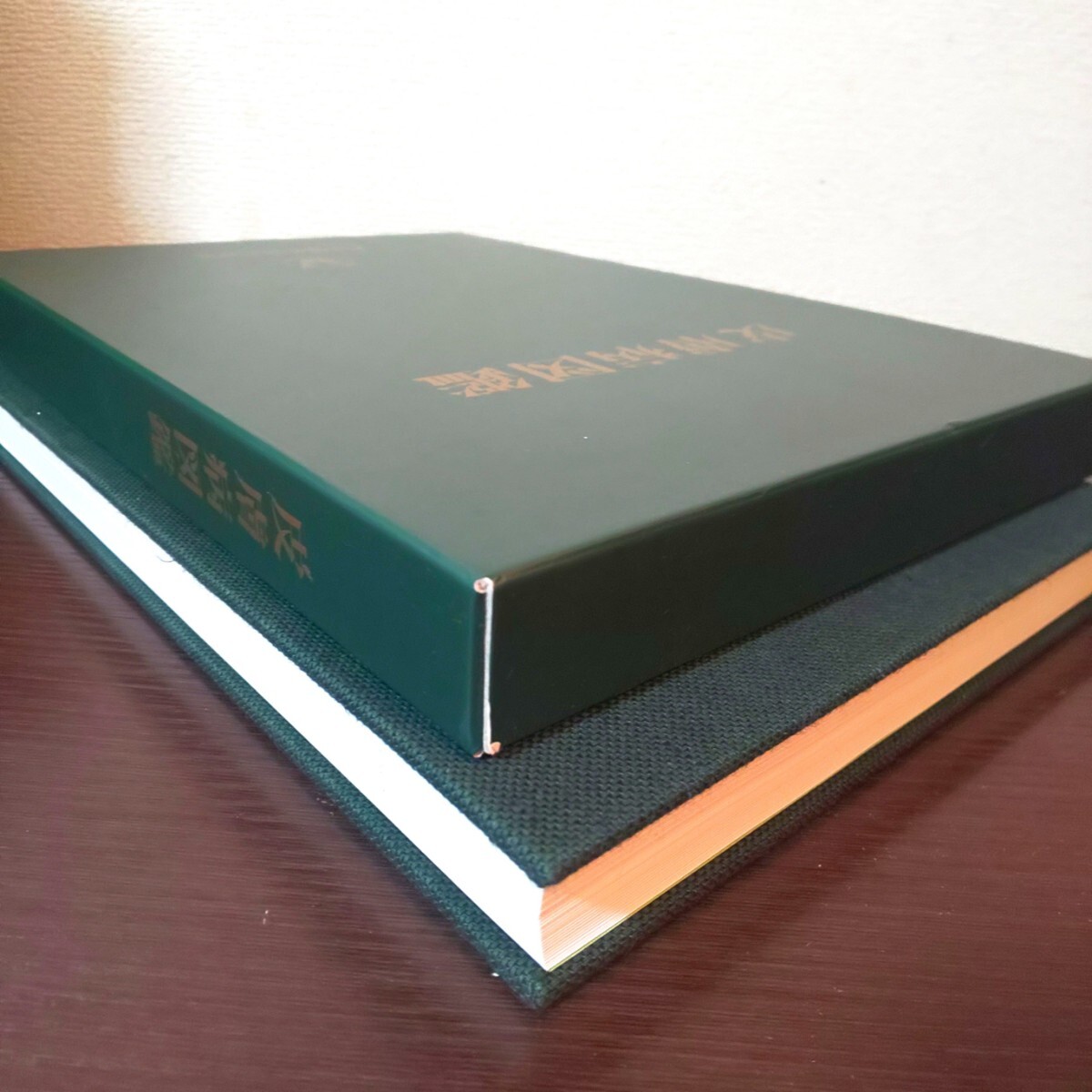 大正製薬 皮膚病図鑑 医学 本 図鑑 皮膚病 参考書 非売品 限定 大正製薬 皮膚病図鑑 医学 本 図鑑 皮膚病 参考書 非売品 限定