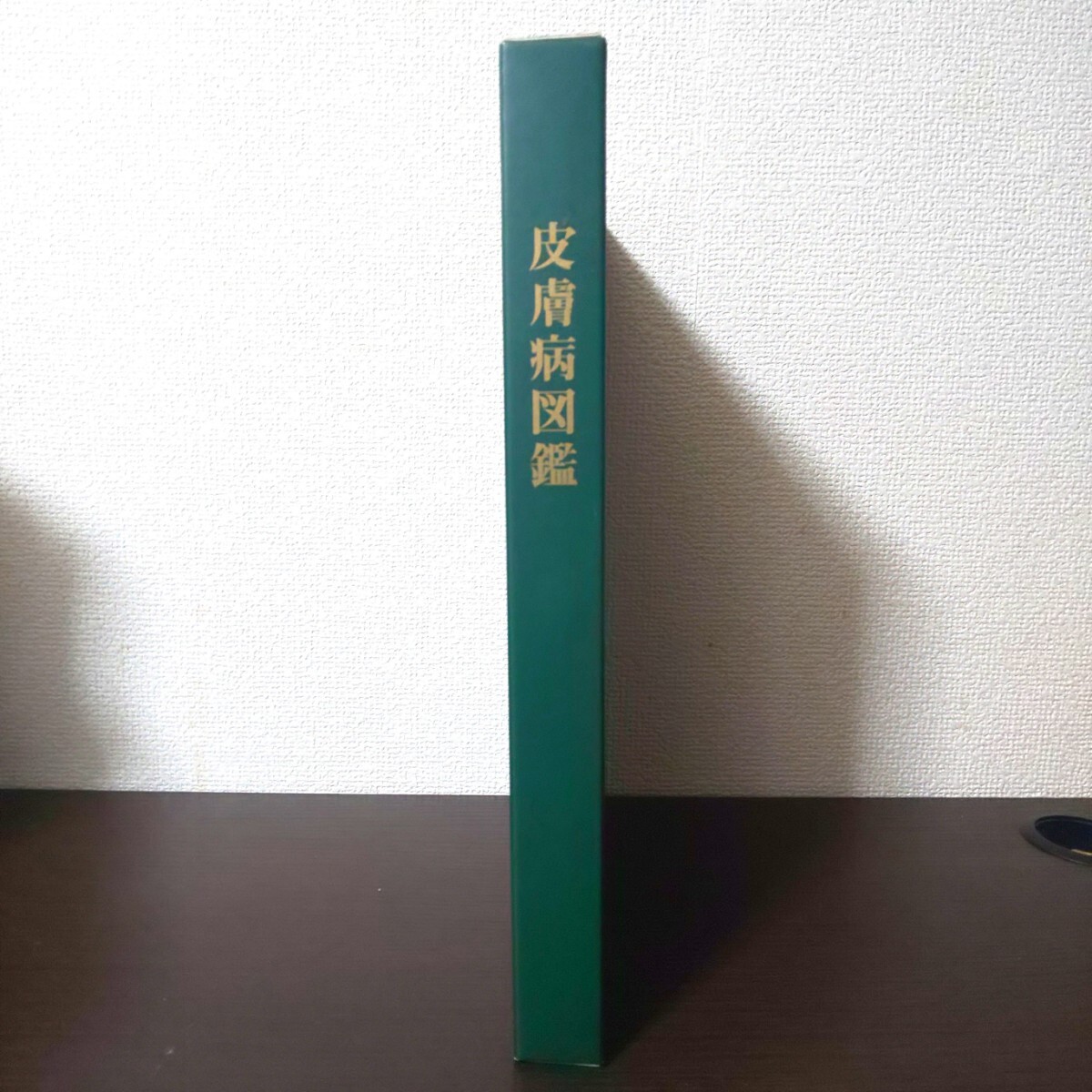 大正製薬 皮膚病図鑑 医学 本 図鑑 皮膚病 参考書 非売品 限定 大正製薬 皮膚病図鑑 医学 本 図鑑 皮膚病 参考書 非売品 限定