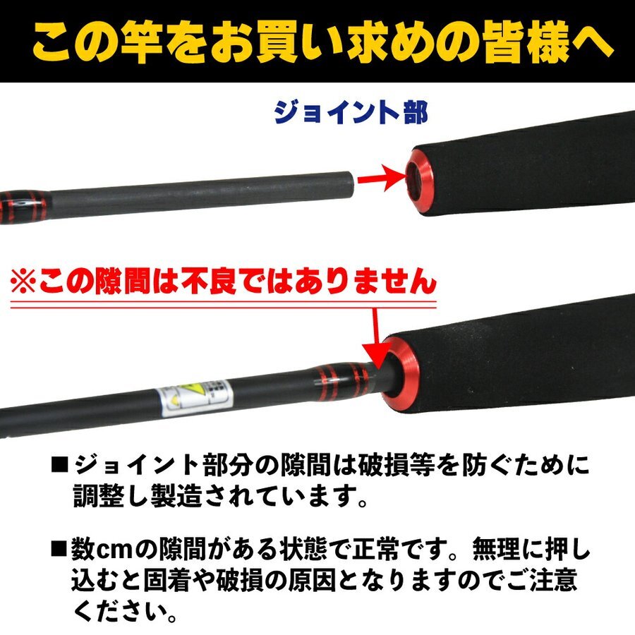 Friday Carbon Solid 船 CSF-210（20-80号)+SeaMastug Digital 300P