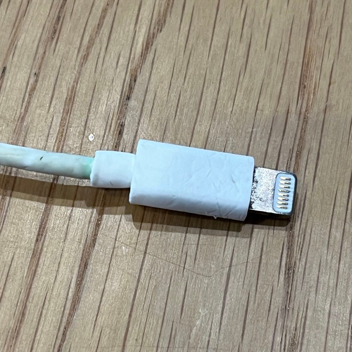 【ジャンク品】Apple Lightning USBケーブル 充電ケーブル　RASTA BANANA ＆ELECOM ２本セット