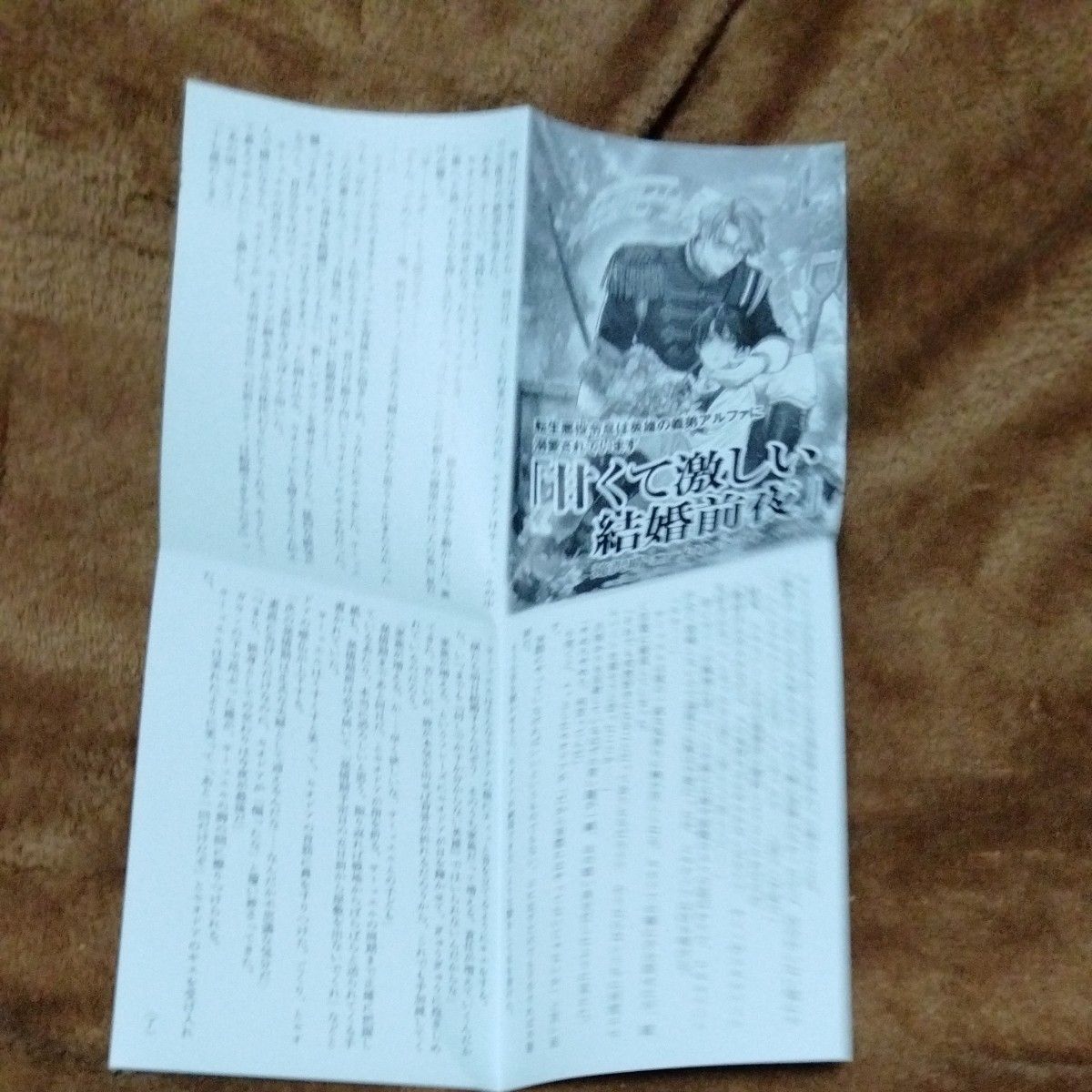 転生悪役令息は英雄の義弟アルファに溺愛されてます　滝沢晴　ラルーナ文庫　