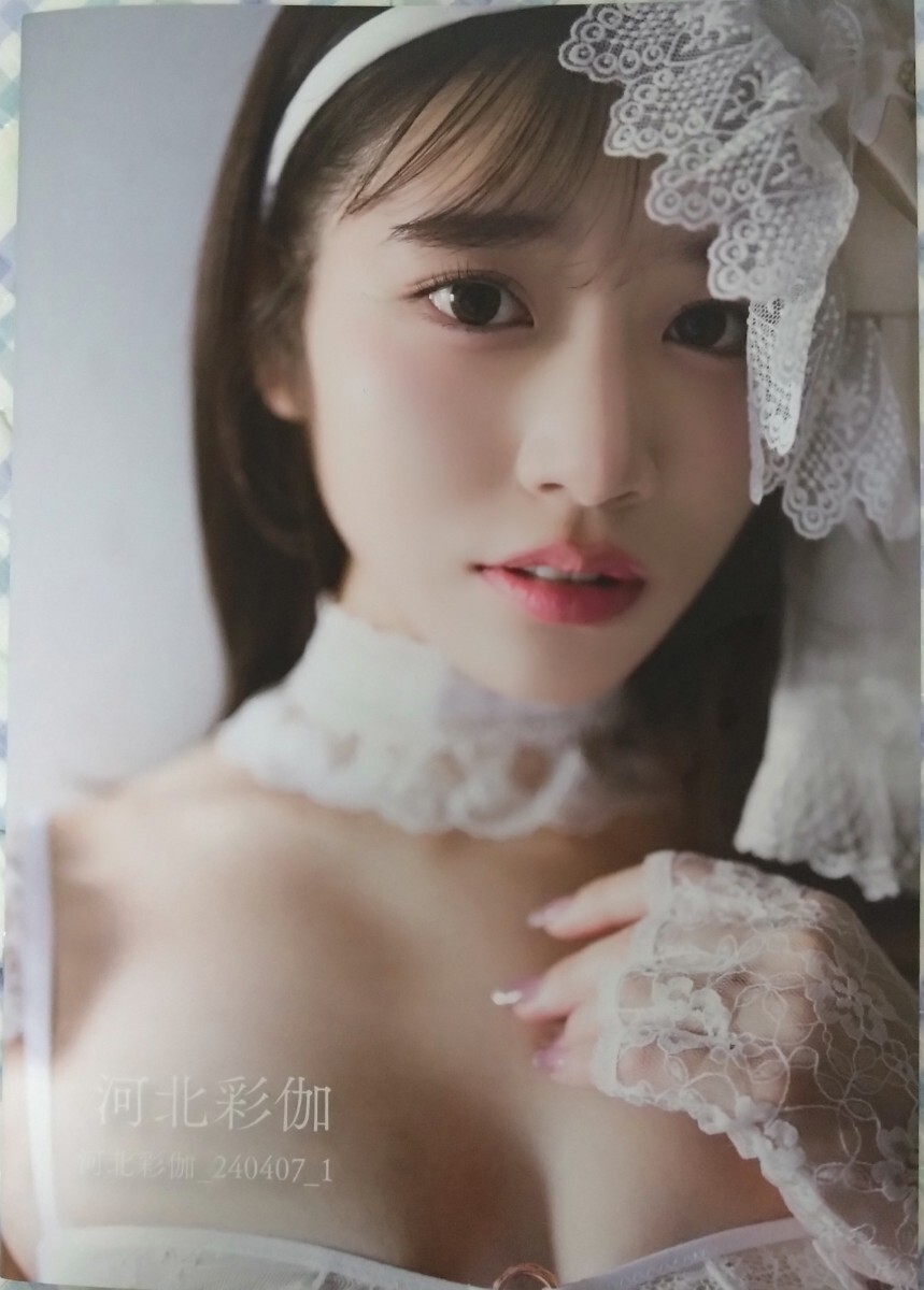 河北彩伽 Pharfaite即売会限定フォトブック① 河北彩花(か行)|売買 河北彩伽 Pharfaite即売会限定フォトブック① 河北彩花(か行)|売買