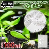 【送料無料】 即日発送 ゾウリムシ 100ml メダカの餌 針子 稚魚 餌 生き餌 エサ ぞうりむし ミジンコ みじんこ クロレラ めだかの画像1