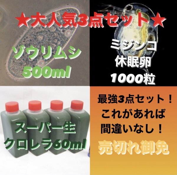 人気度No.1★送料無料★大人気3点セット タマミジンコ休眠卵1000粒 ゾウリムシ500ml 生クロレラ60ml 針子稚魚めだかメダカグッピーの画像1