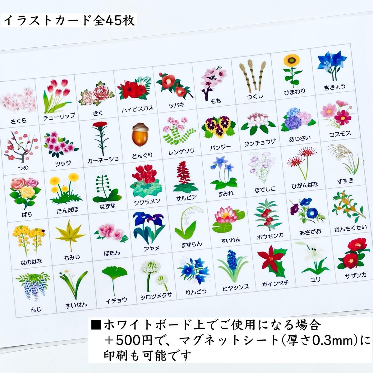 季節の花　小学校受験教材　理科的常識　幼児教育　知育　